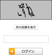 同じく CAPTCHA 画面のスクリーンショット